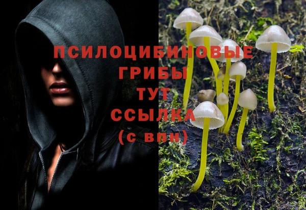 каннабис Заводоуковск